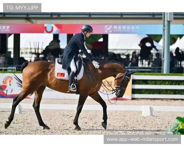 马术队继续提升马匹协同质量，整体表现更规范